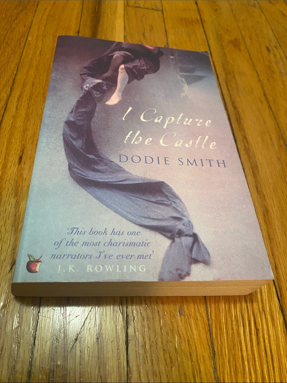 I capture The Castle - Dodie Smith - Paperback Edition